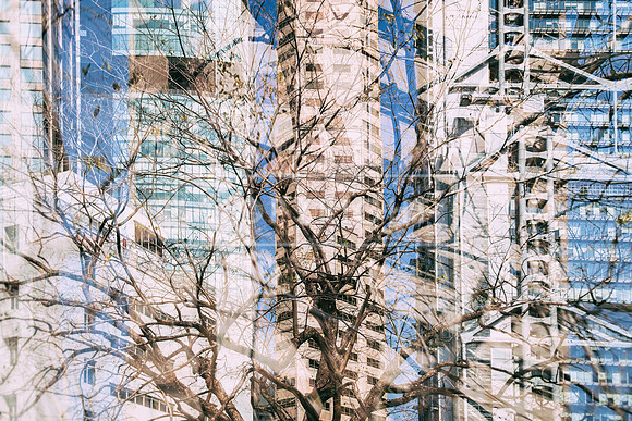 UNTITLED_6
