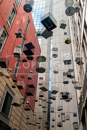 BIRD CAGES STREET ART, SYDNEY