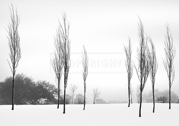 WINTER LANDSCAPE, RADYR, CARDIFF