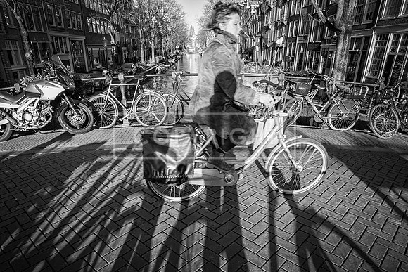 'OUT OF THE SHADOWS' AMSTERDAM