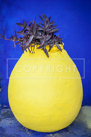 VASE, MAJORELLE GARDEN, MARRAKECH