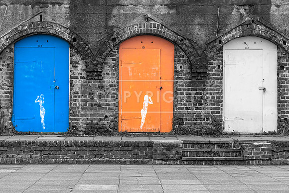 CONCOURSE, BRIGHTON