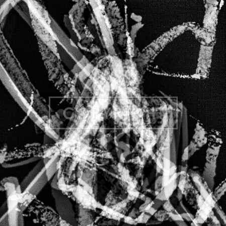 FREE RADICALS_3