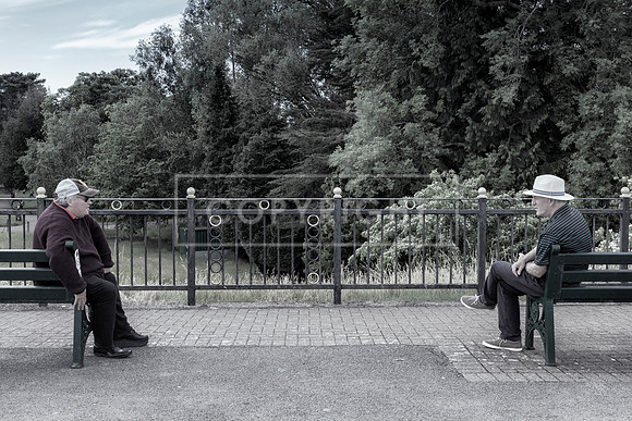 ROATH PARK