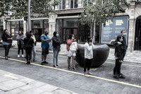 THE HAYES