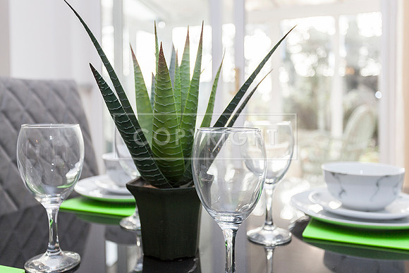 DINING ROOM DETAIL