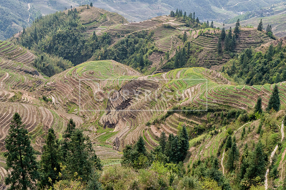 LONGJI RICE TERRACES, LONGSHENG COUNTY, CHINA