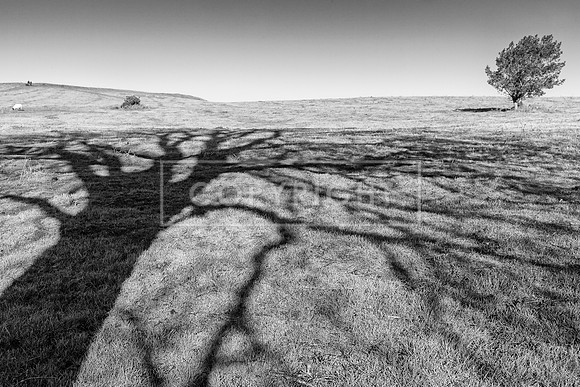 MYNYDD ISLWYN, BRECON BEACONS